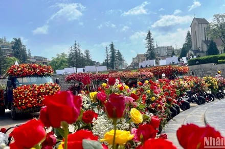 Khai hội Hoa hồng lớn nhất vùng Tây Bắc, tại Khu du lịch quốc gia Sa Pa. (Ảnh: QUỐC HỒNG)