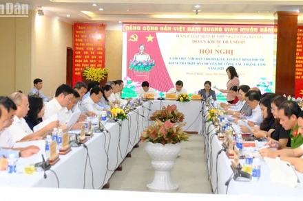 Các đại biểu dự buổi làm việc với Đoàn kiểm tra số 5 của Bộ Chính trị.