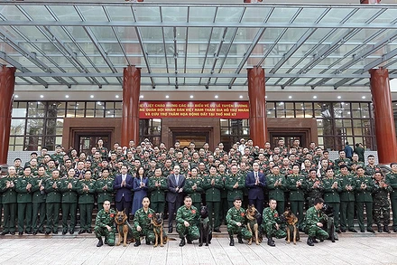 [Ảnh] Vinh danh các cá nhân, tập thể xuất sắc thực hiện nhiệm vụ nhân đạo quốc tế tại Thổ Nhĩ Kỳ