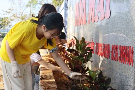 Các em học sinh tham gia trồng cây.