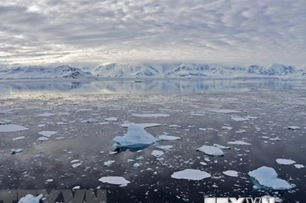 Băng trôi tại Vịnh Chiriguano, quần đảo Nam Shetland, Nam Cực, ngày 7/11/2019. (Ảnh: AFP/TTXVN)