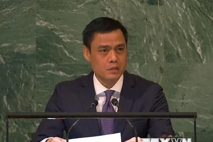 Đại sứ, Trưởng Phái đoàn Việt Nam Đặng Hoàng Giang phát biểu tại phiên họp. (Ảnh: TTXVN)