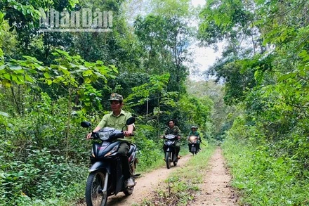 Lực lượng Kiểm lâm và quản lý, bảo vệ rừng Khu Bảo tồn thiên nhiên Ea Sô tuần tra, bảo vệ rừng.