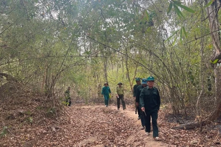 Đội bảo vệ rừng Cầu Treo đi tuần tra trong rừng.