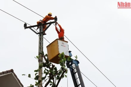 Công nhân ngành điện Quảng Ngãi không ngơi nghỉ, khắc phục sự cố lưới điện sao bão số 4. (Ảnh: HIỂN CỪ)