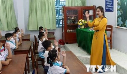 (Ảnh minh họa: Hữu Chí/TTXVN)