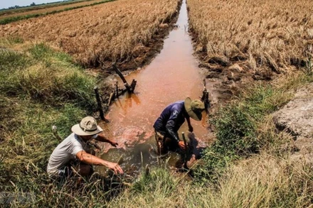 Tăng cường thực hiện các biện pháp phòng, chống nắng nóng, hạn hán, thiếu nước, xâm nhập mặn. (Ảnh minh họa)