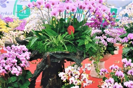 Rộn ràng không khí Tết từ những đường hoa tại Bắc Ninh.