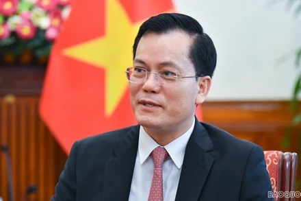 Thứ trưởng Ngoại giao Hà Kim Ngọc. (Ảnh: baoquocte.vn)