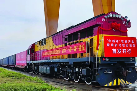 Một chuyến tàu liên vận giữa hai nước Việt Nam và Trung Quốc. (Ảnh: Sina.com.cn)