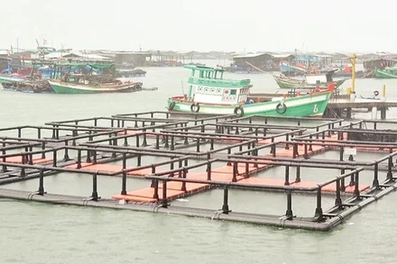 Mô hình nuôi cá trên biển bằng lồng nhựa HDPE.