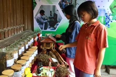 Khách tham quan tìm hiểu trưng bày về các bài thuốc nam, các cây thuốc có ở quanh ta.