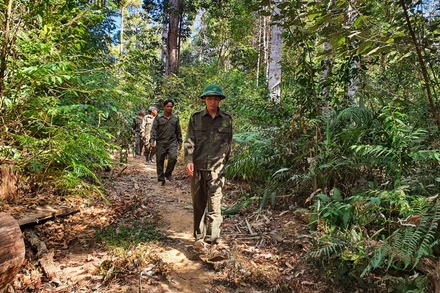 Công nhân Công ty trách nhiệm hữu hạn một thành viên Lâm nghiệp Đăk Tô tuần tra phòng, chống cháy rừng tại địa bàn mình quản lý.