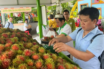Nhiều loại trái cây đặc sản được giới thiệu tại Lễ hội trái cây Nam Bộ 2023.