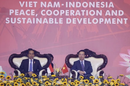 Chủ tịch nước Võ Văn Thưởng và Tổng thống Indonesia Joko Widodo dự chương trình biểu diễn võ thuật. (Ảnh: Thống Nhất/TTXVN)