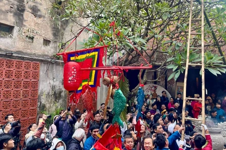 Cây nêu được dựng lên trong sự phấn khởi của mọi người.