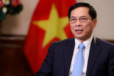 Bộ trưởng Ngoại giao Bùi Thanh Sơn.