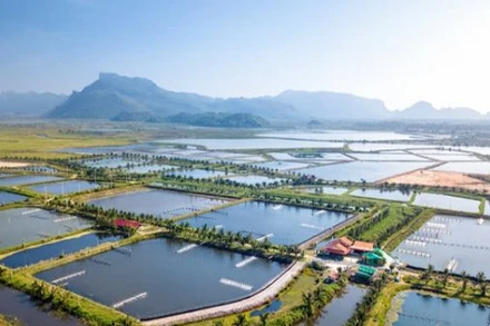 Giảm 30% tiền thuê đất, mặt nước cho đối tượng ảnh hưởng bởi dịch Covid-19