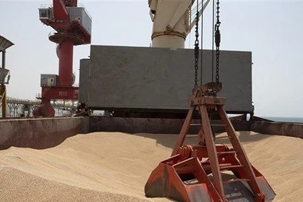 Tàu chở ngũ cốc Ukraine. (Ảnh: AFP/TTXVN)