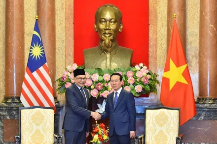 Chủ tịch nước Võ Văn Thưởng và Thủ tướng Malaysia Anwar Ibrahim tại buổi tiếp.