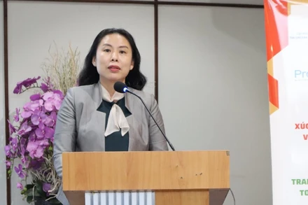 Bà Hồ Thị Quyên, Phó Giám đốc Trung tâm Xúc tiến Thương mại và Đầu tư Thành phố Hồ Chí Minh, phát biểu tại hội thảo.
