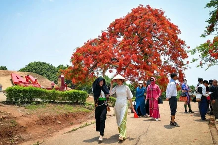 Đồi A1 - một trong những điểm di tích thuộc quần thể Di tích quốc gia đặc biệt Chiến trường Điện Biên Phủ thu hút rất đông khách trong nước, quốc tế về tham quan. (Ảnh: Thành Đạt)