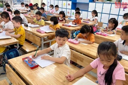 Ảnh minh họa. (Ảnh: Thúy Quỳnh)