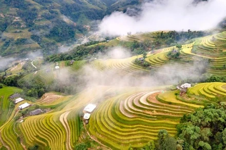 Kiệt tác ruộng bậc thang Hoàng Su Phì. (Ảnh: Tổng cục Du lịch)