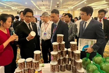 Các đại biểu tham quan sản phẩm của các doanh nghiệp tỉnh Bến Tre và thành phố Thủ Đức.