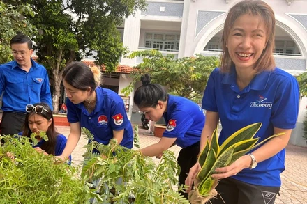 Các bạn trẻ chuẩn bị cây xanh trang trí tại chương trình.