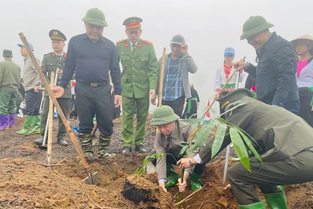 Đồng chí Đỗ Đức Duy, Ủy viên Trung ương, Bí thư Tỉnh ủy Yên Bái tham gia trồng tre măng Bát Độ. (Ảnh THANH SƠN)