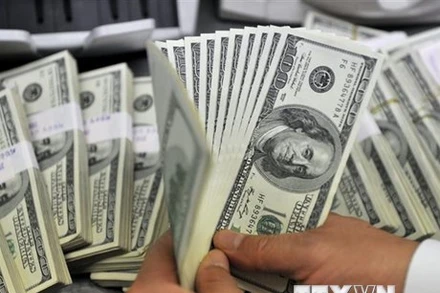 Nhân viên kiểm đồng USD tại một ngân hàng. (Ảnh: AFP/TTXVN)