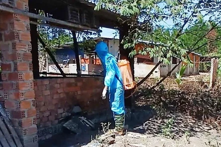 Huyện Hòa Vang, thành phố Đà Nẵng công bố dịch tả lợn châu Phi tại xã Hòa Ninh và Hòa Phong. Trong ảnh: Lực lượng chức năng xã Hòa Phong tiến hành phun thuốc khử trùng, tiêu độc khu vực chuồng trại nơi xảy ra dịch bệnh. (Ảnh do Ủy ban nhân dân xã Hòa Phong cung cấp)