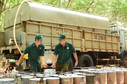 Công nhân khai thác mủ tại Công ty Cao-su Bà Rịa.