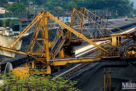 Sàng tuyển, chế biến than cho các hộ tiêu thụ.