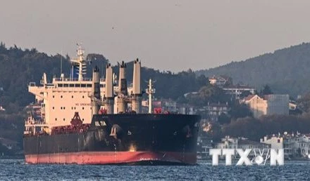 Tàu chở ngũ cốc của Ukraine di chuyển dọc Eo biển Bosphorus ở Istanbul, Thổ Nhĩ Kỳ, ngày 2/11/2022. (Ảnh: AFP/TTXVN)
