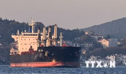 Tàu chở ngũ cốc của Ukraine di chuyển dọc Eo biển Bosphorus ở Istanbul, Thổ Nhĩ Kỳ, ngày 2/11/2022. (Ảnh: AFP/TTXVN)