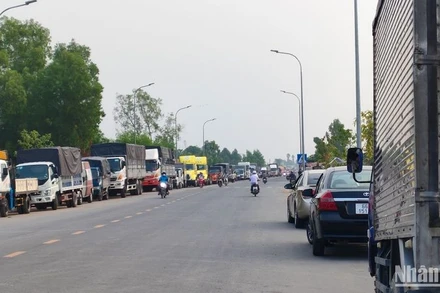 Sáng sớm 17/4, nhiều chủ phương tiện từ địa phương khác đến Đồng Tháp đỗ xe ngoài lộ để chờ đăng kiểm. (Ảnh: HỮU NGHĨA)