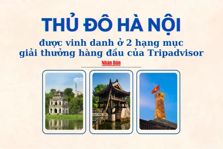 [Infographic] Tripadvisor vinh danh Hà Nội ở hai hạng mục hàng đầu