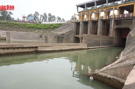 Nâng cao chất lượng nước trong hệ thống thủy lợi Bắc Hưng Hải