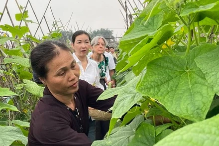 Du khách hào hứng trải nghiệm công việc nhà nông.