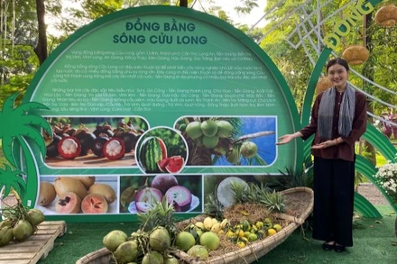 Các loại trái cây đặc sản vùng miền được giới thiệu tại lễ hội.