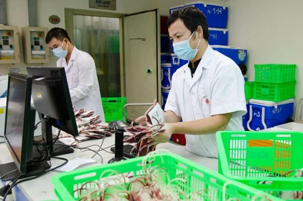 Dự trữ nhóm máu 0 chỉ đạt 36%.