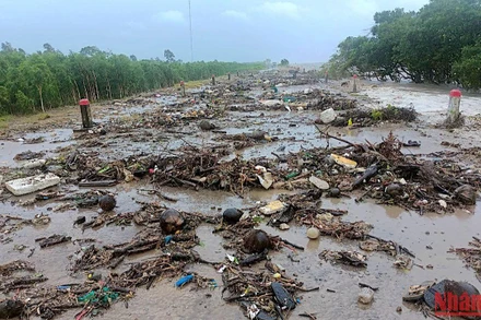 Hình ảnh triều cường bất thường vào chiều 11/7 đe dọa đê biển Tây tỉnh Cà Mau. (Ảnh: HỮU TÙNG)