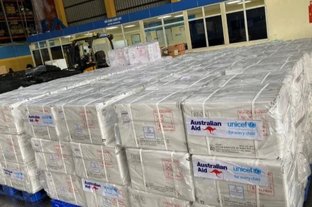 Vaccine được phân bổ về các địa phương.