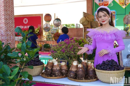 Gian hàng trưng bày sản phẩm đặc sản địa phương do hội viên hội quán trên địa bàn huyện Lấp Vò trồng. (Ảnh: HỮU NGHĨA)