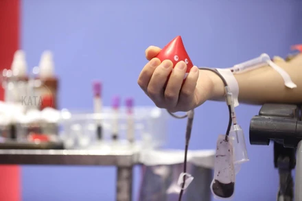 Hiến máu tình nguyện.