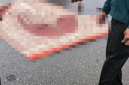 Hiện trường vụ sét đánh sáng 10/7 làm một người tử vong tại huyện Tiền Hải, tỉnh Thái Bình. (Ảnh do người dân cung cấp)