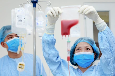 Các y, bác sĩ truyền tế bào gốc cho người bệnh.