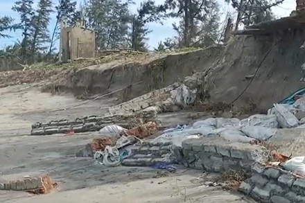 Bờ biển Cửa Đại bị sóng biển đánh sạt lở.